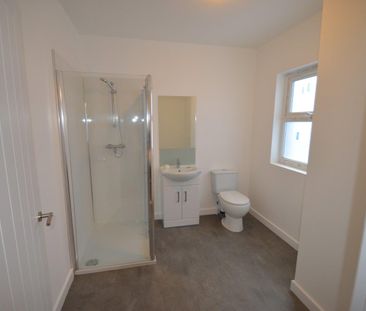 Hill Park Crescent, Plymouth - Photo 3
