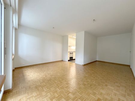 In the heart of Zurich-Wollishofen - Quiet - Modern - Your new home? - Foto 5