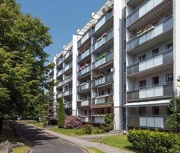 Boxberger Str. 17, 01239 Dresden OT Prohlis-Süd - Foto 2