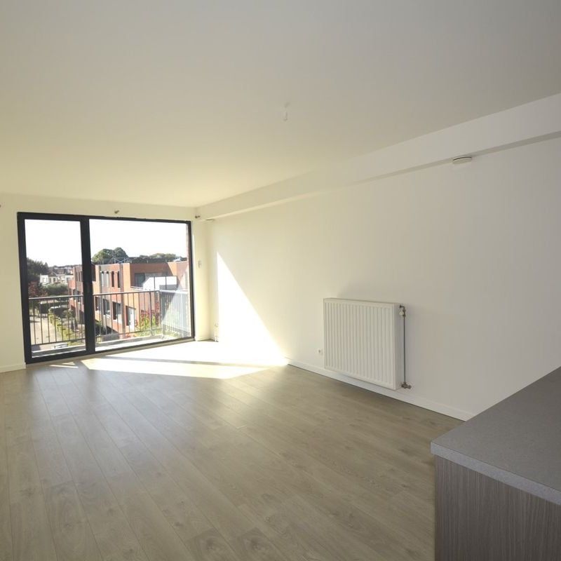 Appartement te huur in Borsbeek voor € 985 met 2 slaapkamers - Photo 1