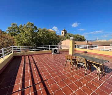 234 Diseminado 4213- Establiments, Municipality of Palma, Balearic ... - Photo 3