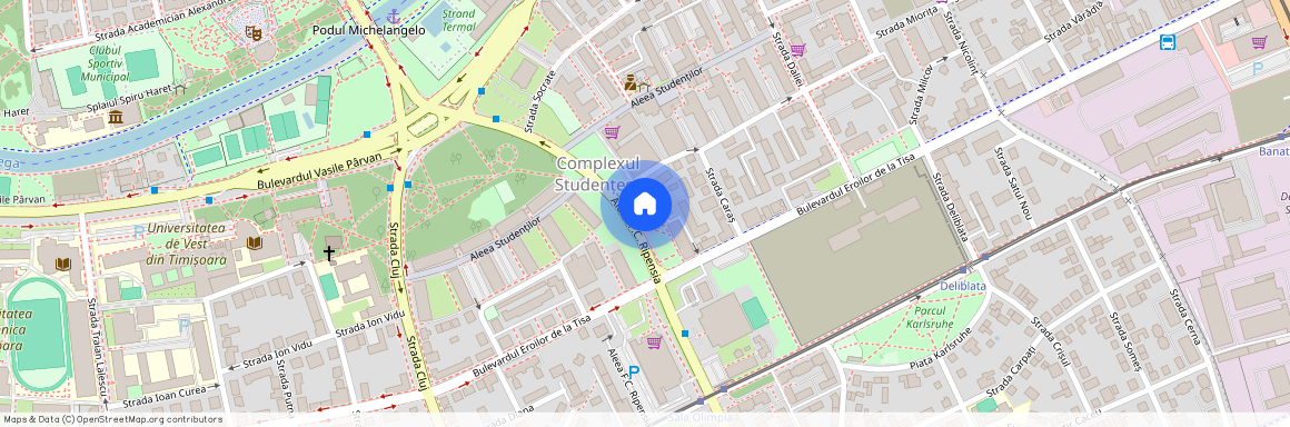 Timisoara