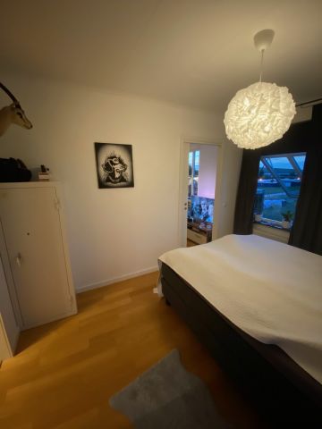 Rosentorpsvägen, Oxie - Photo 3