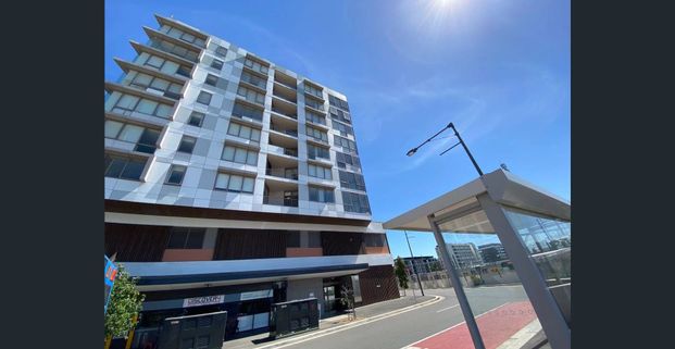 Fully Furnished huge 2 bedroom walk to Wolli Creek Station - Photo 1