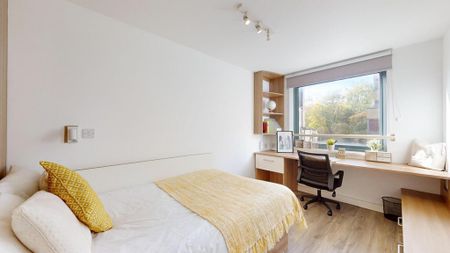 Flat share to rent - Photo 4