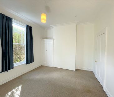 29 Hawthorn Avenue, Mornington, Dunedin - Photo 6