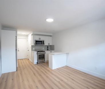 3915 Rue Masson - Photo 1