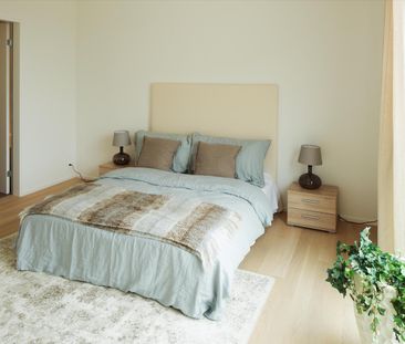 "Sie brauchen Platz? ROY" hat ihn!" - Photo 3