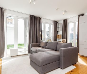 Modern Single Living - Photo 3