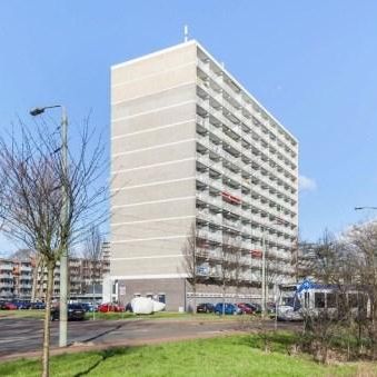 Mozartlaan 0ong, 2555 JA Den Haag, Nederland - Photo 3