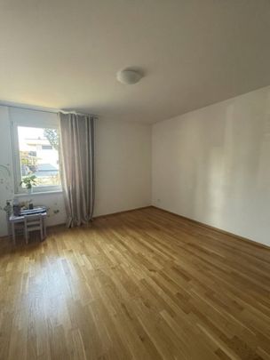 Moderne 3-Zimmer Wohnung mit Garten in Graz 8041 – Komfort und Stil inklusive! - Foto 1
