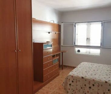 Ingenio - Foto 2