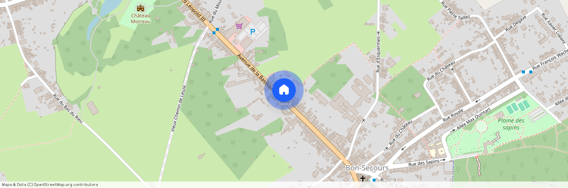 Avenue de la Basilique, 74 - 7603 Bon-Secours