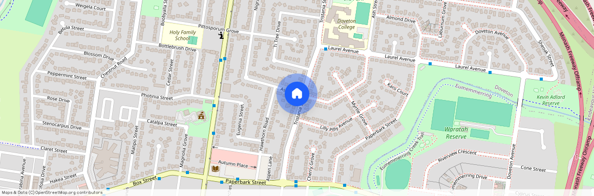 45 Ash Street, Doveton