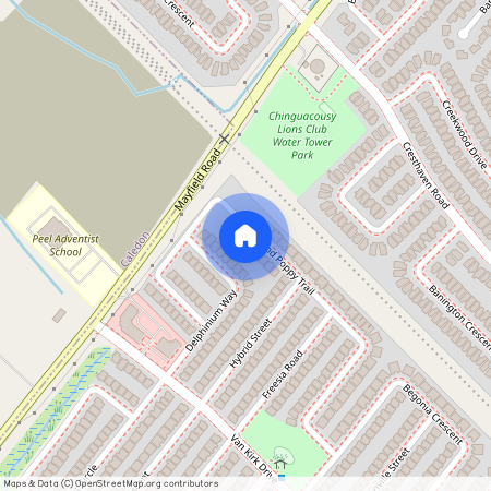 76 Iceland Poppy Trail, Brampton