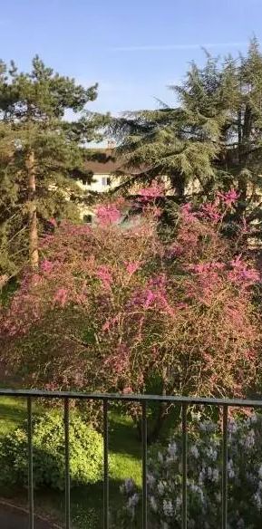 Appartement à louer 4 pièces 69.57m² - Photo 1