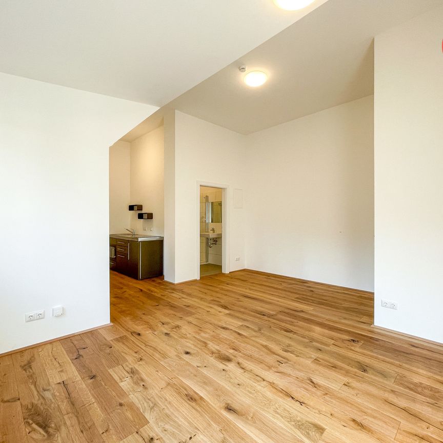 Erstbezug! 1-Zimmer-Wohnungen mit hochwertiger Ausstattung und Küche - Foto 1