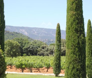 Ménerbes - Sublime mas provençal avec vue sur le Luberon et piscine - Photo 2