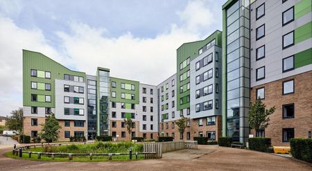 1 bedroom in a flat share to rent - Photo 5