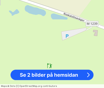 Risekatslösavägen, Billesholm - Foto 1