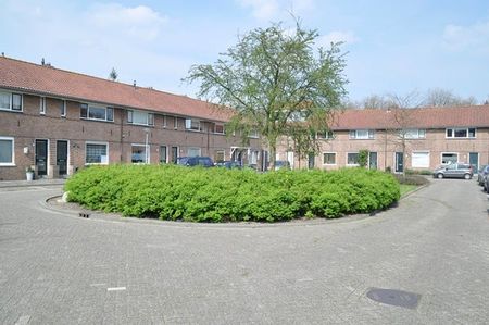 Te huur: Huis Bergplein in Rotterdam - Photo 2