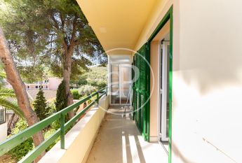 Apartment for rent in Palmanova