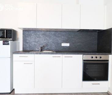 Pronájem bytu 1+kk 45 m² - Photo 5