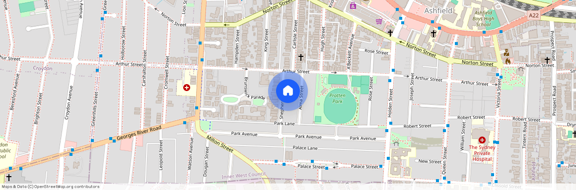 14a Shepherd Street, Ashfield NSW 2131