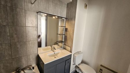 Location Appartement 1 pièce Meublé 22m² BORDEAUX 33000 - Photo 4