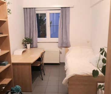 F — Krijgs­gast­huis­straat - Foto 2
