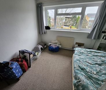 Northwoods Walk - Photo 3