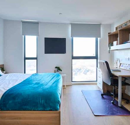 Studio Gold - Photo 4