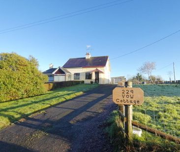 229 Vow Road, Ballymoney, BT44 8TB - Photo 4