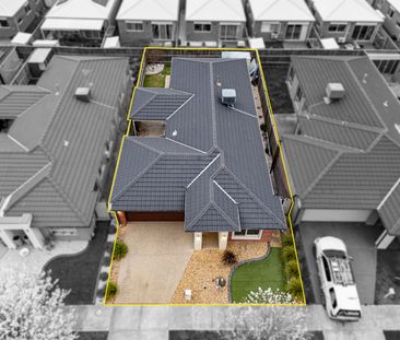 Cute, Charming & Convenient on Cups Court! - Photo 4