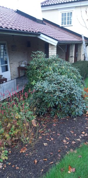 Norrgårdsvägen, Linghem - Foto 2