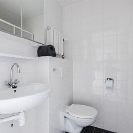 Bos en Lommerplantsoen 1055 Amsterdam - Foto 4