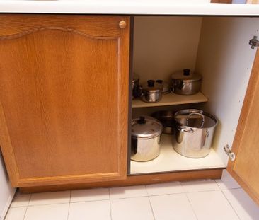 Rue St-Urbain, H2W 1V7, Montréal - Photo 3