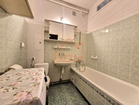 Kawalerka 38 m2 Leśne - Photo 3