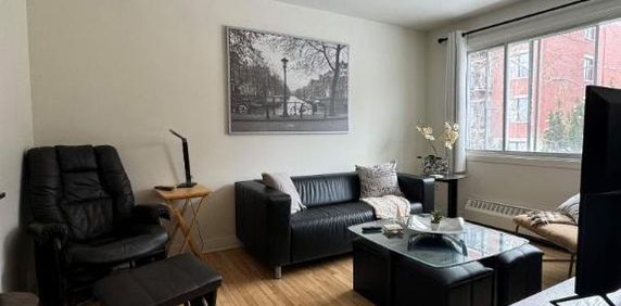 Beau 5 1/2 - Photo 2