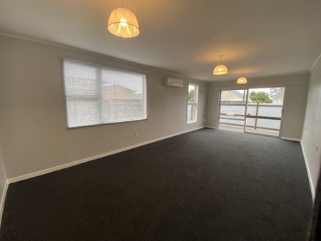 8 Richmond StreetBlenheim Central - Photo 5
