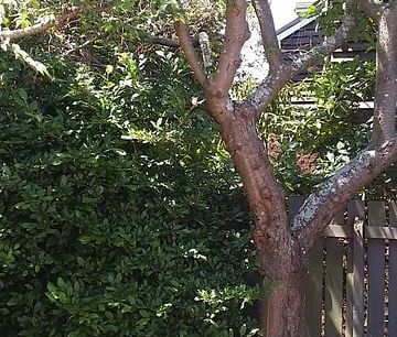 City Centre, private sunny location - Photo 5