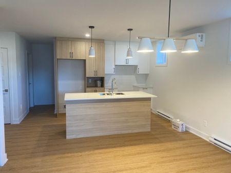 135 Rue Bonin, apt. 2 - Photo 2