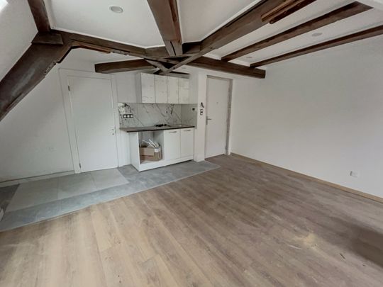 Location Appartement 1 pièce 22m² SELESTAT 67600 - Photo 1