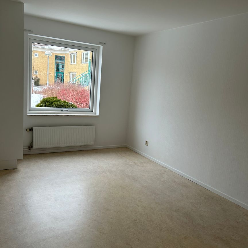 Blågransgatan, Bunkeflostrand - Foto 1