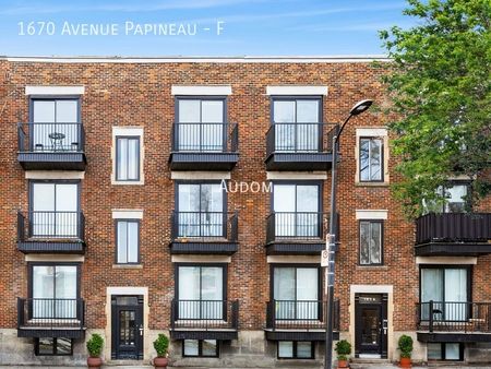 1670 Avenue Papineau - F - Photo 4