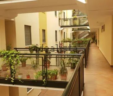 Alquiler de piso en Calle Doctor Rubio, 6 - Photo 1