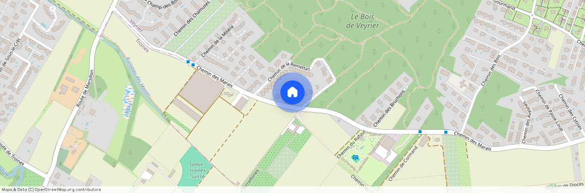 1234, Vessy, chemin des Marais, 43