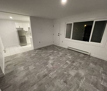 ►►► NEWLY RENOVATED MODERN, CHIC & COOL 1 BDRM...... - Photo 2