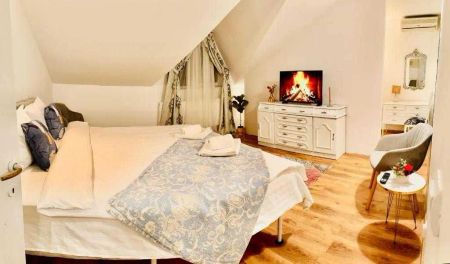 VILA/Casă ULTRACENTRAL IASI - 1500 EURO - Photo 3