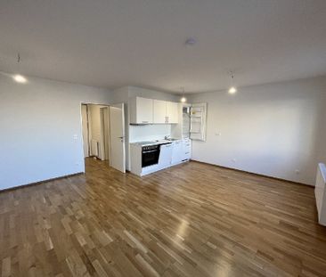 Tolle Ausstattung - Moderne 1-Zimmer-Wohnung mit Dachterrasse - Foto 2